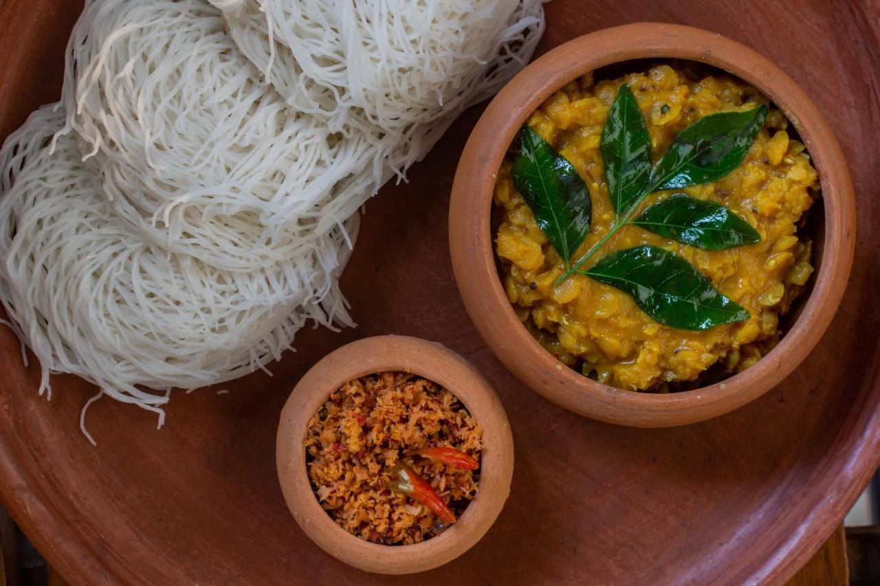 Om Shambhala Bed & Breakfast Colombo Exterior foto