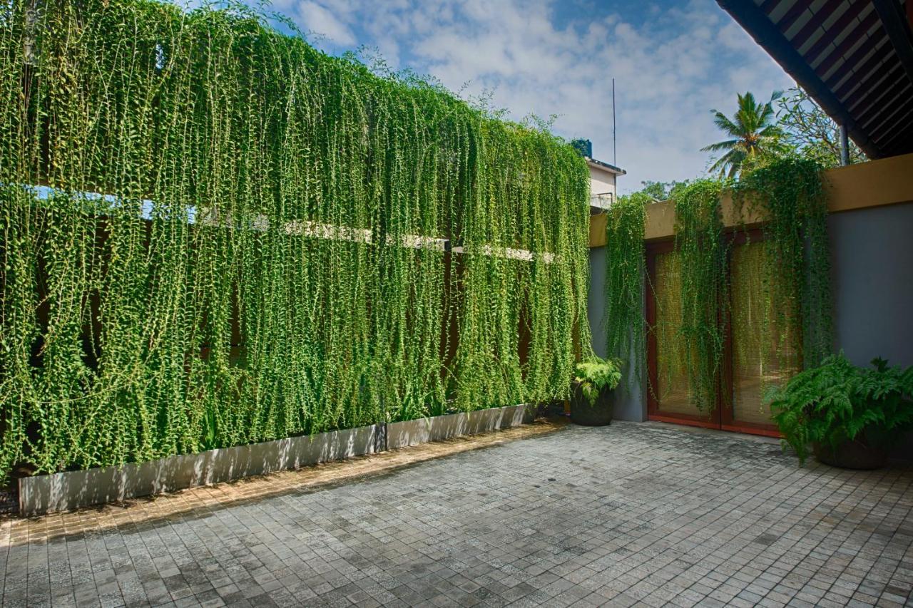 Om Shambhala Bed & Breakfast Colombo Exterior foto